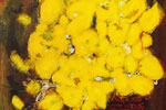 三岸節子 黄色い花